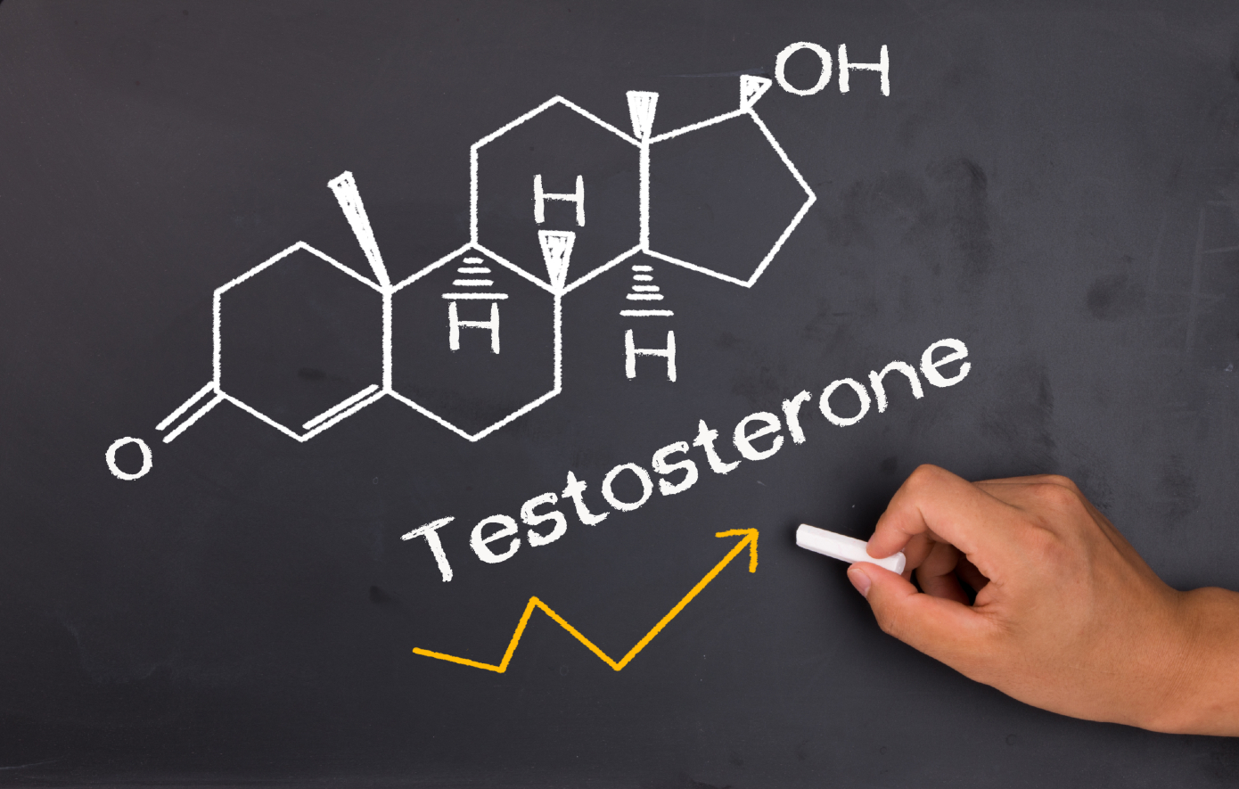 Η σημασία της τεστοστερόνης και οι 10 «δολοφόνοι» της