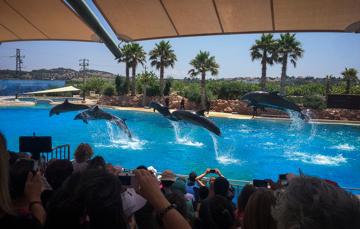 Καταδίκη για το Αττικό Ζωολογικό Πάρκο &#8211; Έξι μήνες φυλάκιση με αναστολή στην ιδιοκτησία για τις παραστάσεις με τα δελφίνια