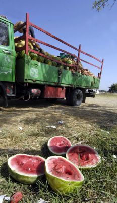 Πετάξτε τα παυσίπονα, πάρτε ένα… καρπούζι