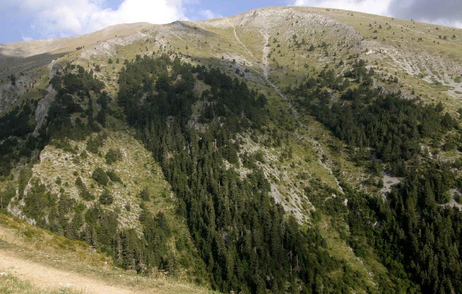 Μικρές ιστορίες από τον Όλυμπο