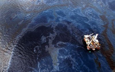 «Πνίγηκαν» στο πετρέλαιο φάλαινες και δελφίνια