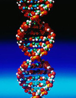 Απάτη με τεστ DNA