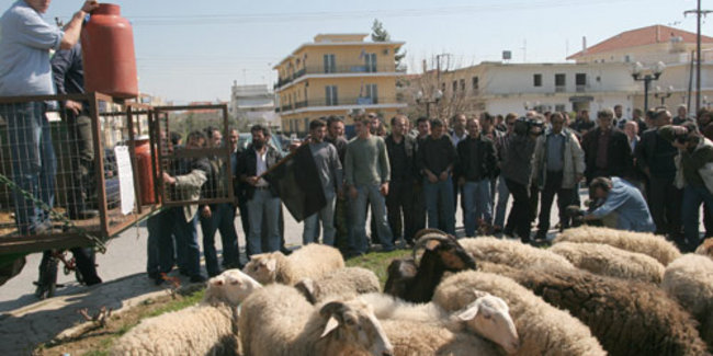 Αντιδρούν στην αλλαγή του φορολογικού καθεστώς οι κτηνοτρόφοι από την Θεσσαλία