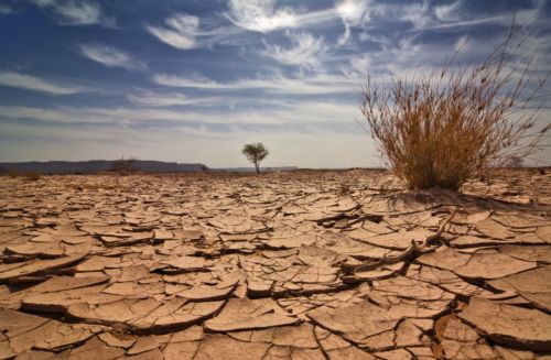 Πλήττεται από την ξηρασία το Κέρας της Αφρικής