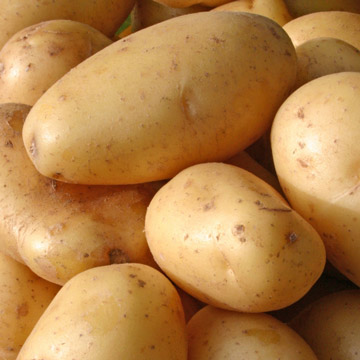 Την αναβολή εισαγωγών πατάτας είχε ζητήσει το υπ. Αγροτικής Ανάπτυξης