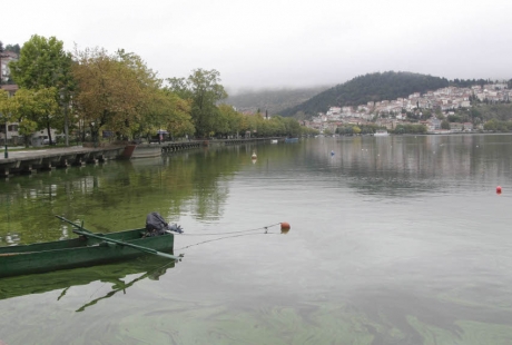 Γυναίκα βρέθηκε νεκρή στη λίμνη Καστοριάς