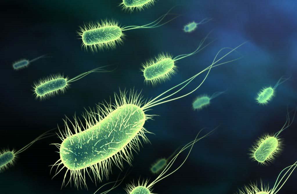 Εμφανίστηκαν νέα ανθεκτικά βακτήρια