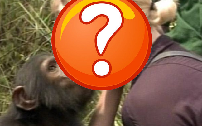 Το φιλί της ηθοποιού με τον&#8230; χιμπατζή!