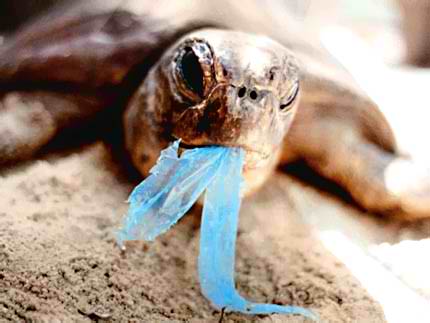 «Πρωταθλητής» των σκουπιδιών στις θάλασσες το πλαστικό
