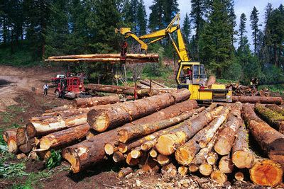 Απώλειες στο κλάδο επεξεργασίας και εμπορίας προϊόντων ξυλείας
