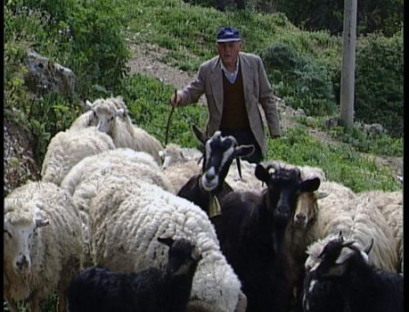 Καταβλήθηκε στους κτηνοτρόφους το υπόλοιπο της εξισωτικής αποζημίωσης