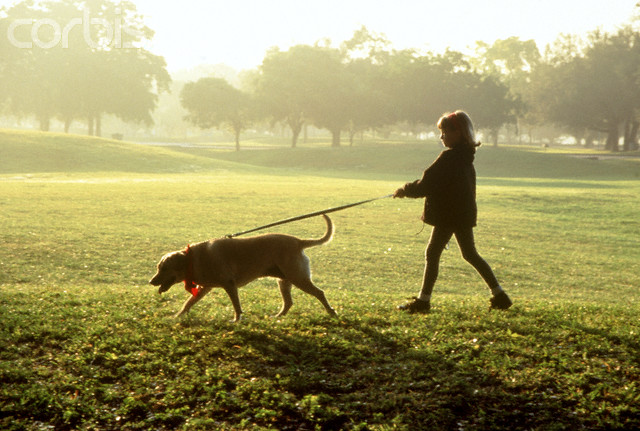 Η πρωινή βόλτα μπορεί να αρρωστήσει τα σκυλιά