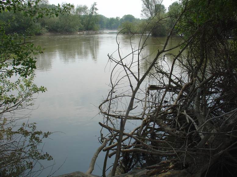 «Πάνω από το όριο επικινδυνότητας η στάθμη των νερών στους ποταμούς Έβρο και Άρδα»
