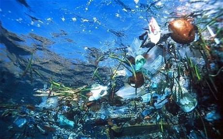Τα πλαστικά απορρίμματα απειλούν τη θάλασσια ζωή