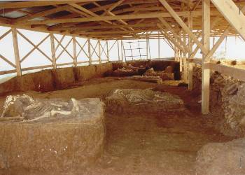 Παρουσίαση αρχαιολογικής ανασκαφής στο Λιθοχώρι