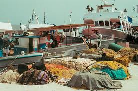 Ο Συνήγορος του Πολίτη «έσωσε» τους αλιείς της Χαλκιδικής