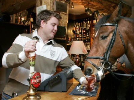 Τι κάνει ένα άλογο σε μια μπυραρία;