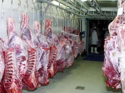 Κατασχέθηκαν 867 κιλά βοδινού κρέατος