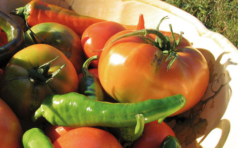 Θα εισάγουν κανονικά λαχανικά από Ελλάδα και Τσεχία