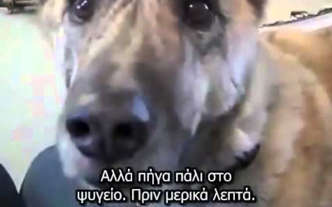 «Δεν υπάρχει» αυτός ο διάλογος με το σκύλο