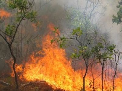 Μαίνονται οι πυρκαγιές σε δύο χωριά της Κέρκυρας
