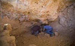 Βρέθηκε τάφος σκύλου ηλικίας 8.000 ετών