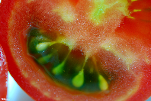 Για να είστε σίγουροι για τις βιολογικές σας ντομάτες
