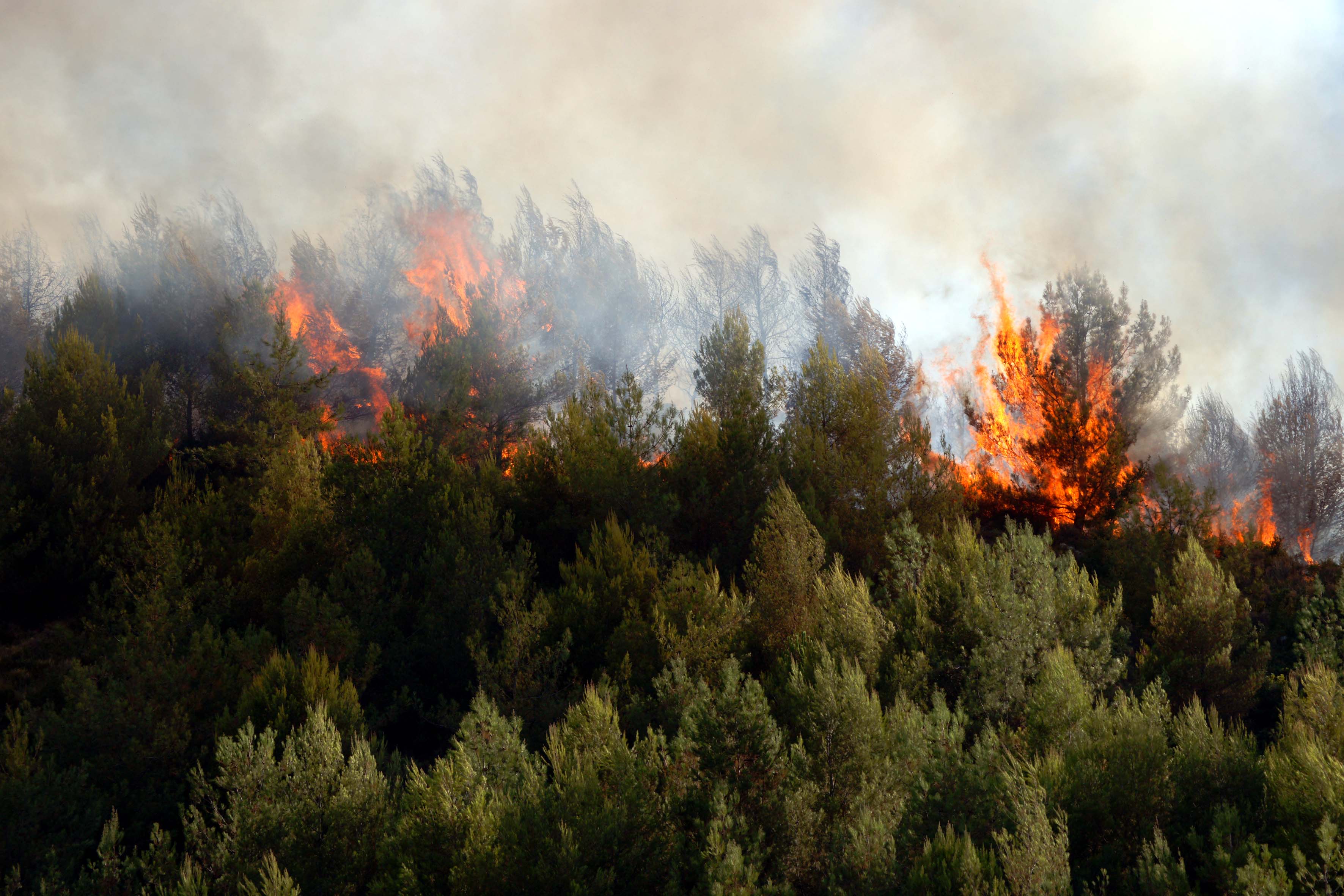 Οκτώ εστίες φωτιάς στη βορειοδυτική Κέρκυρα