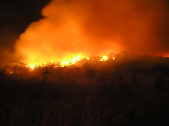Φωτιά σε δασική έκταση στη Βαρυμπόμπη