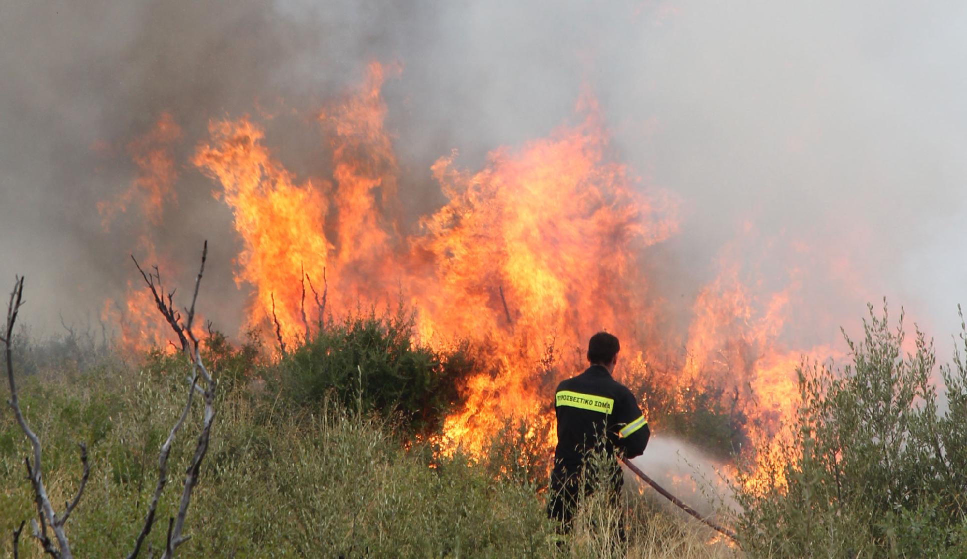 Τέσσερις φωτιές στη Δυτική Μακεδονία