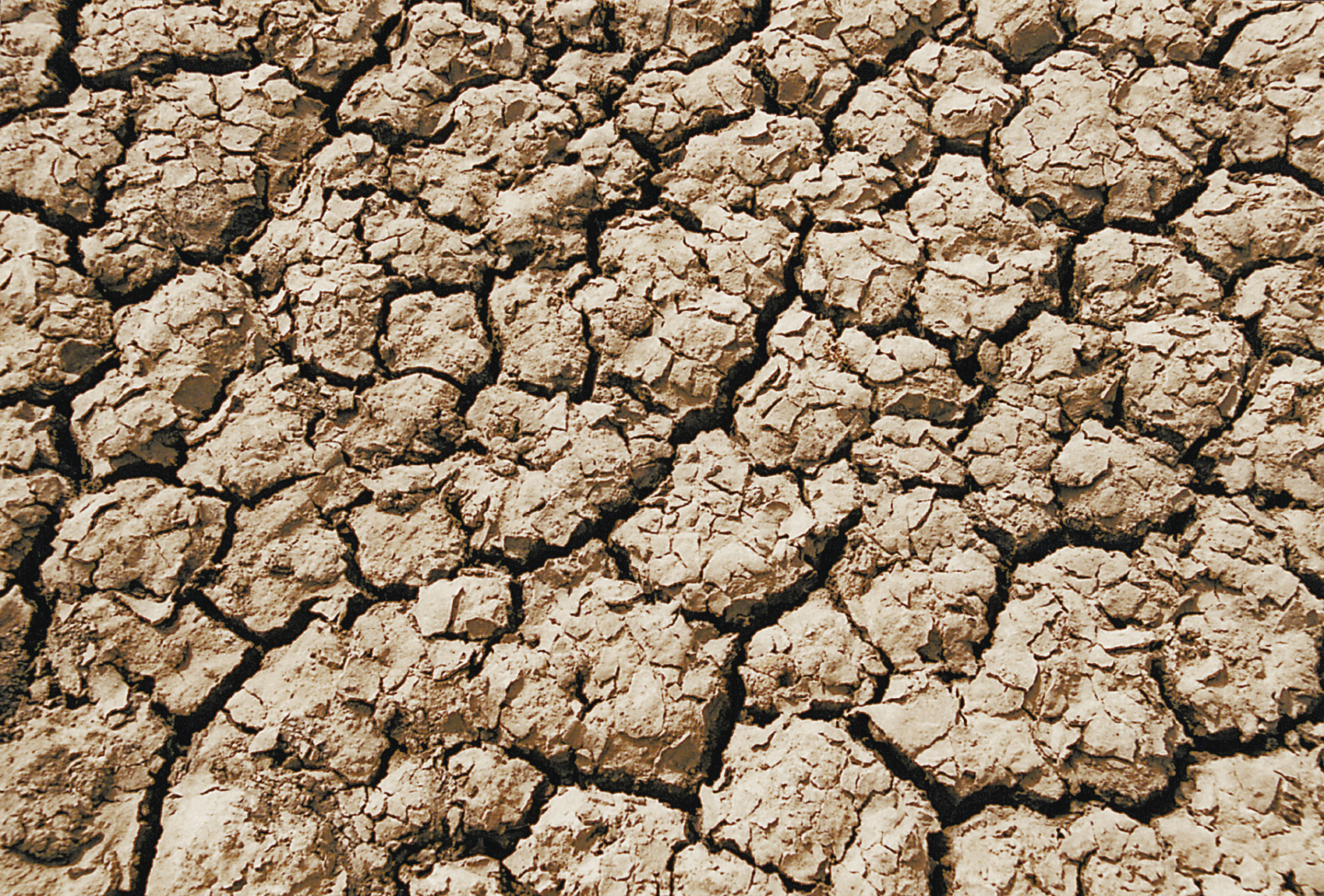 Η Αιθιοπία αντιμέτωπη με τη χειρότερη ξηρασία των τελευταίων 30 χρόνων