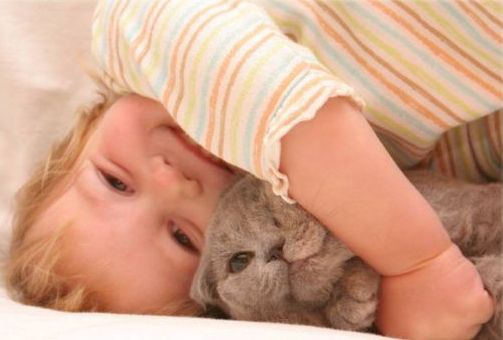 Γάτα στην παιδική ηλικία προστατεύει από&#8230; αλλεργίες!