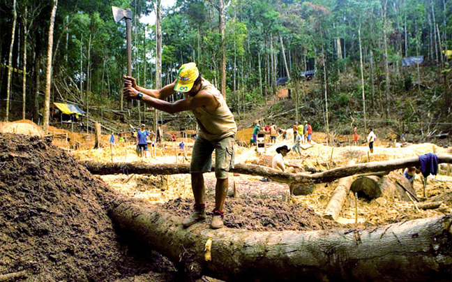 Μειώθηκε η αποψίλωση των δασών του Αμαζονίου