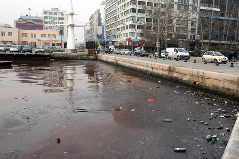 Νεκρά ψάρια στον Θερμαϊκό Κόλπο