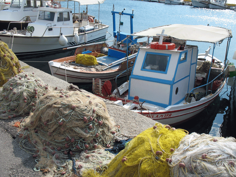 Οι άδειες αλιείας από τις αντιπεριφέρειες