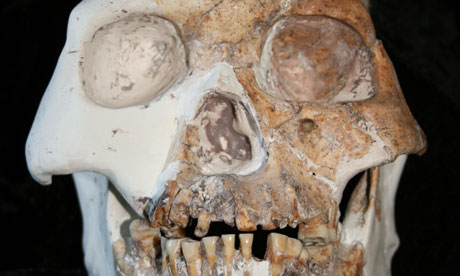 Απολιθωμένα οστά ανθρώπων βρέθηκαν στην Κίνα