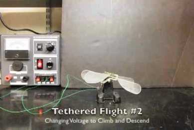 Ιπτάμενο έντομο-ρομπότ από τρισδιάστατη εκτύπωση