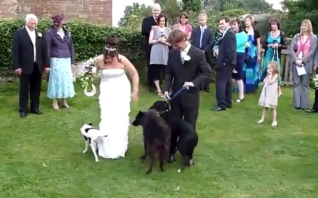 Σκύλος περνάει τη νύφη για&#8230; κολώνα!