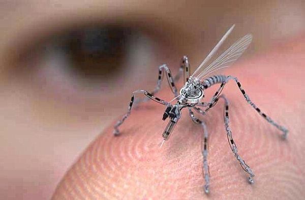 Αναπτύσσονται ραγδαία τα ρομποτικά έντομα