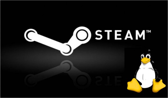 Η Valve ετοιμάζει Steam client για Ubuntu 12.04