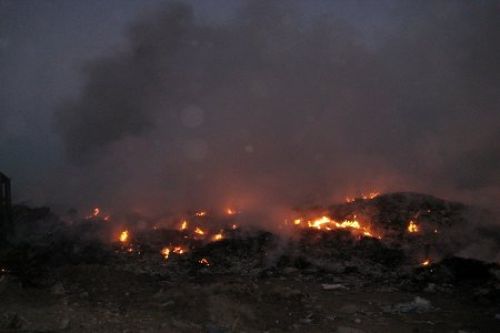 Πυρκαγιά σε τρία μέτωπα στις εκβολές του Αλφειού