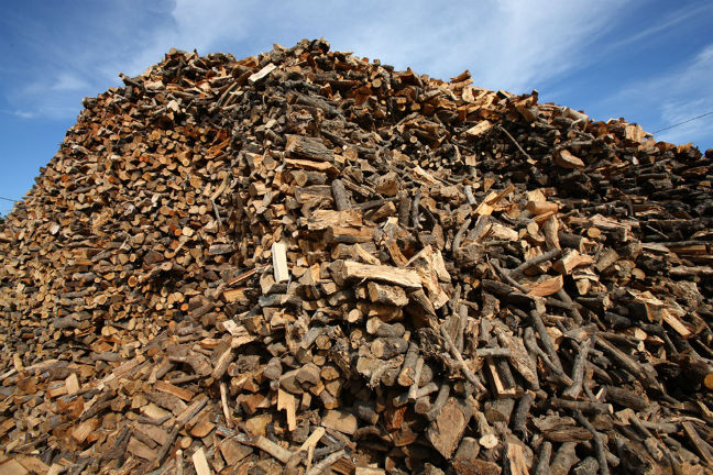 Νέα μέθοδος, με ελληνική συμμετοχή, μετατρέπει τα ξύλα σε βιοκαύσιμα και χημικά