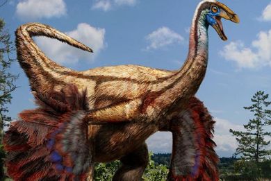Δεινόσαυροι- στρουθοκάμηλοι ανακαλύφθηκαν στον Καναδά