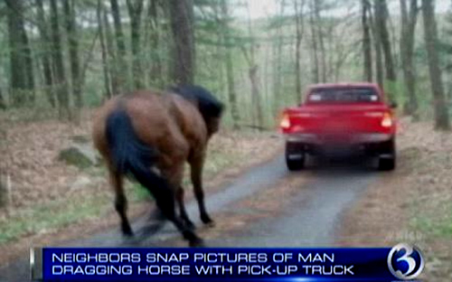 HORSE4 ΔΕΙΤΕ: Έσυρε το άλογο του με το αυτοκίνητο!