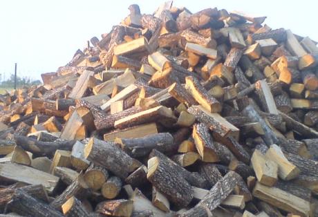 Σε δύσβατα μονοπάτια η βιομηχανία ξυλείας