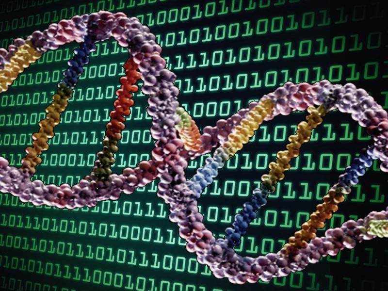 Βρέθηκε δεύτερος κώδικας στο DNA