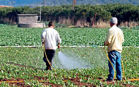 Τα φυτοφάρμακα αυξάνουν τον κίνδυνο για Πάρκινσον