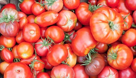 Γιατί να επιλέξετε ντομάτες βιολογικής καλλιέργειας