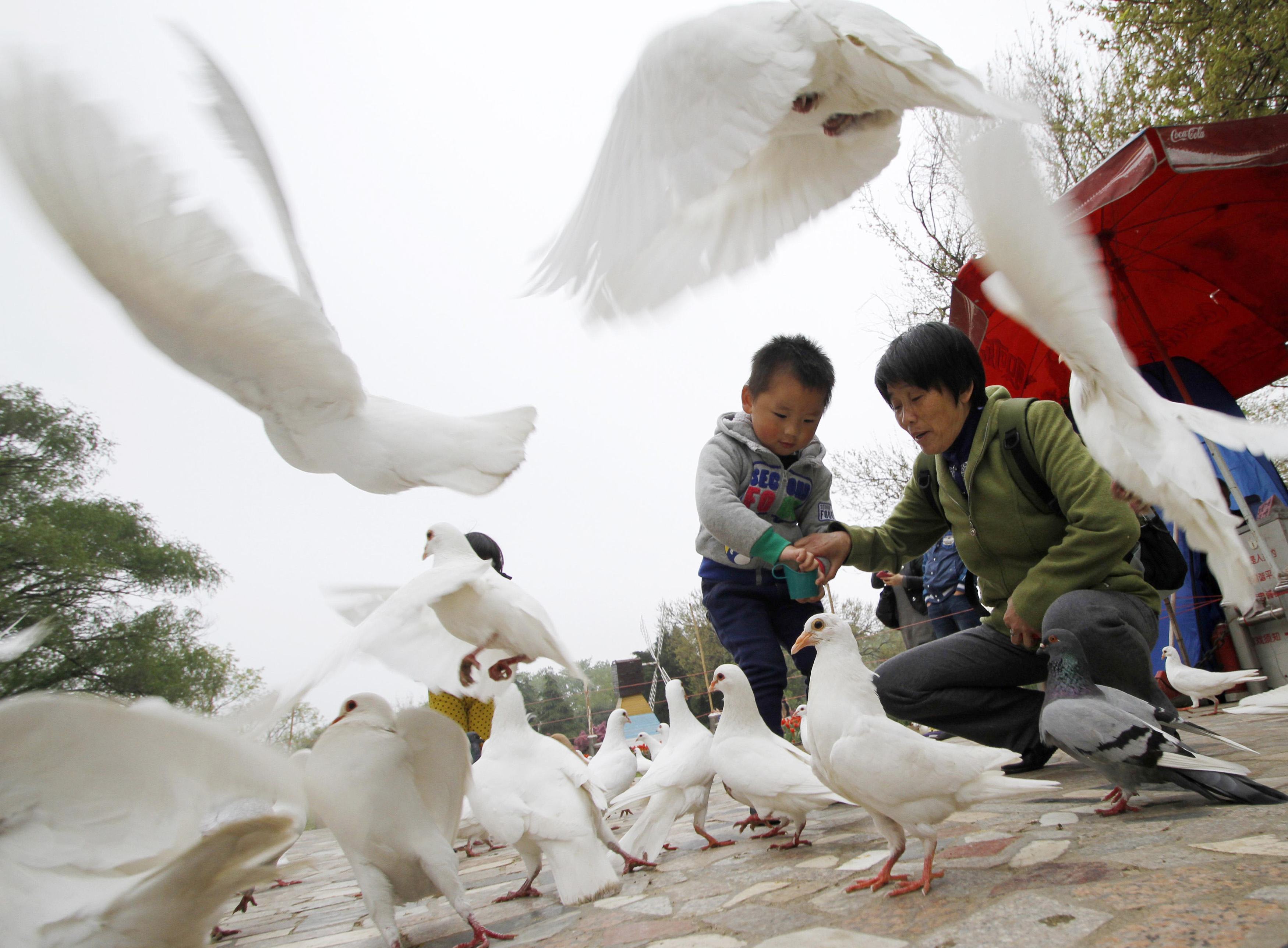 Κλειστά τα καταστήματα ζωντανών πουλερικών στη Σανγκάη