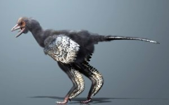 Ανακάλυψαν δεινόσαυρο με ράμφος πουλιού και κεφάλι κοτόπουλου